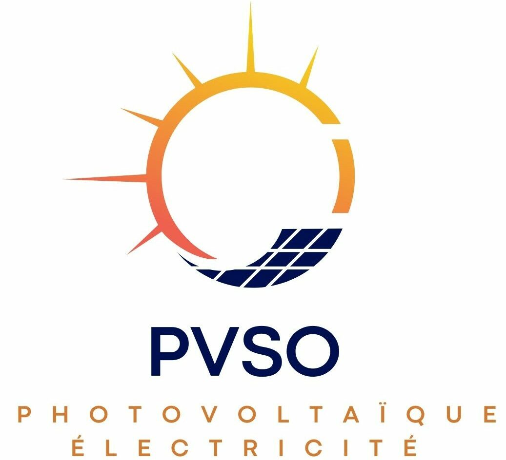Logo PVSO